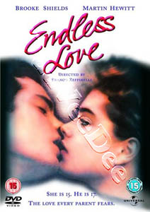 Endless Love (DVD)